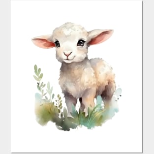 Lamb Posters and Art